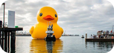 Big Duck